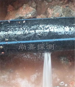 永发镇消防管道漏点探测